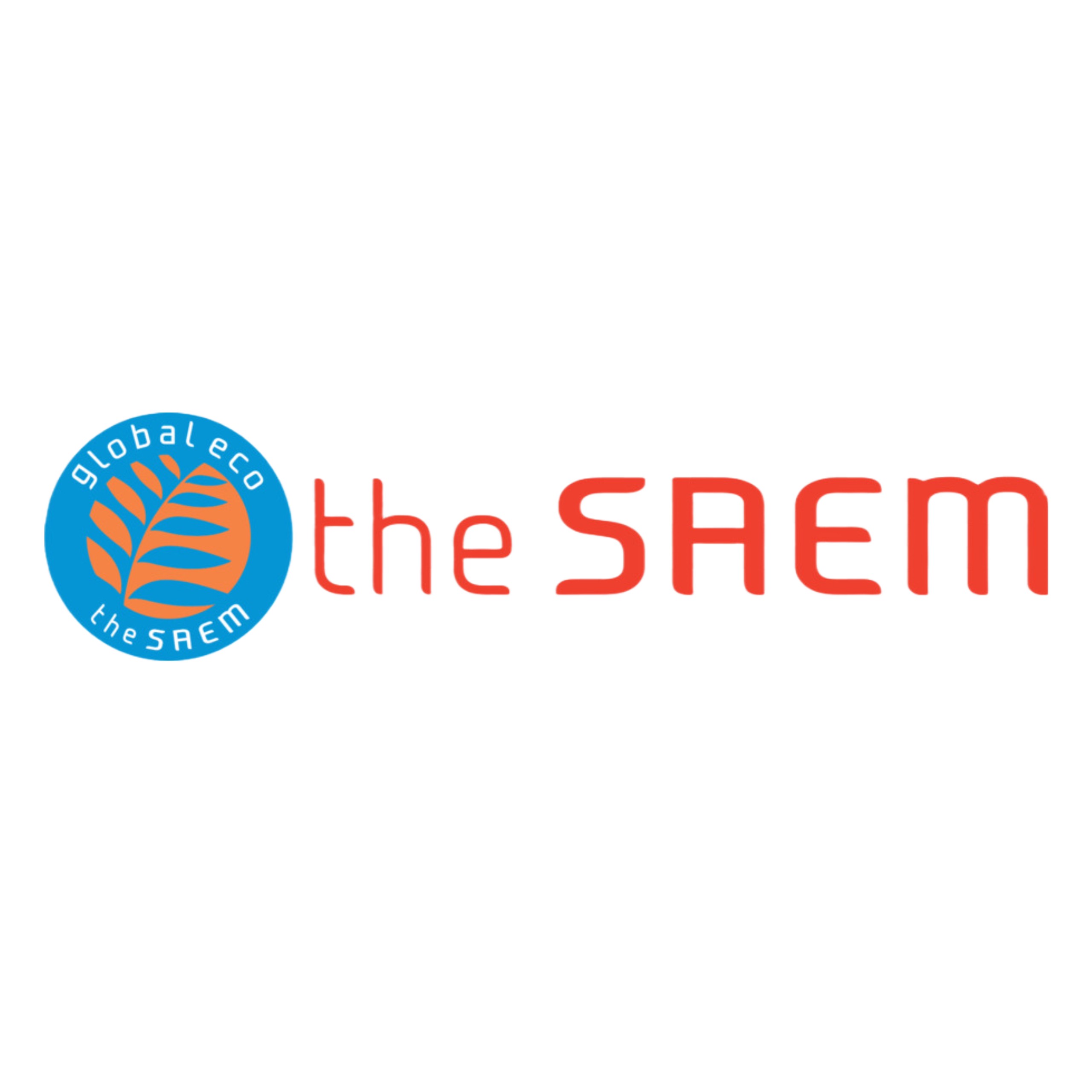 The Saem